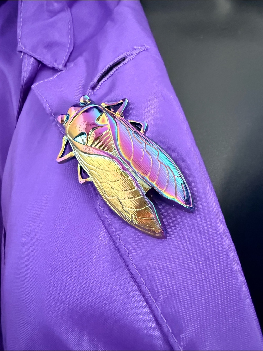 Handmade Iridescent Cicada Brooch Pin